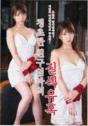 追光的日子